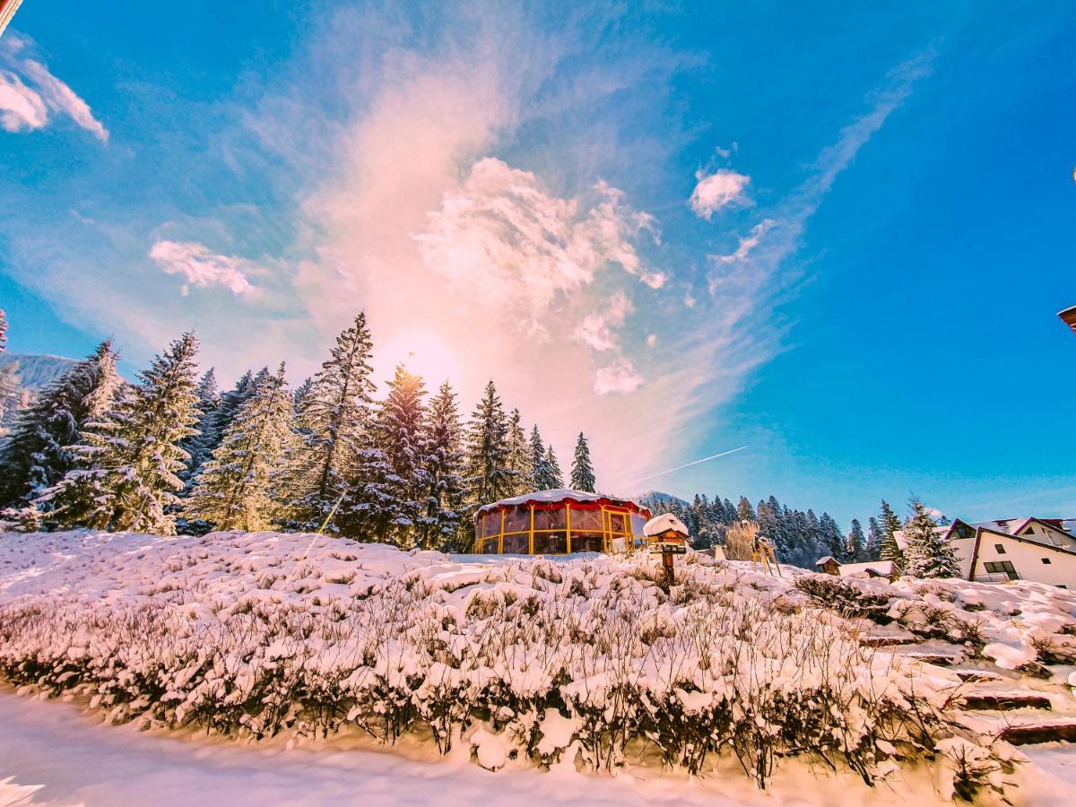 Teleferic Grand Poiana Brasov